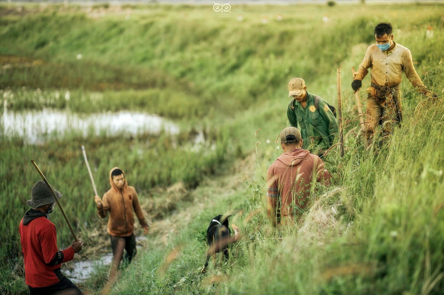 Cứ đến mùa thu hoạch lúa, nhiều thanh niên và đàn ông trong làng Groi 2 (xã Glar, huyện Đak Đoa, Gia Lai) lại cùng nhau đi khắp các cánh đồng để săn chuột. Họ không chỉ săn chuột đồng để chế biến món ngon truyền thống mà còn để tìm kiếm niềm vui