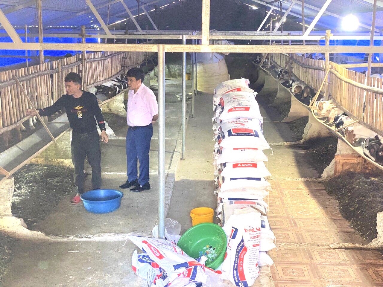 Ông Lê Hồng Tuyên, Giám đốc phòng giao dịch Ngân hàng Chính sách xã hội huyện Nghĩa Đàn kiểm tra sử dụng nguồn vốn vay tại hộ chăn nuôi và sản xuất dê của anh Lê Văn Hưng.