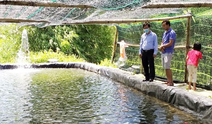Mô hình nuôi cá tầm ở xã Hồng Kim, huyện A Lưới có hiệu quả kinh tế cao, góp phần nâng cao đời sống cho đồng bào dân tộc thiểu số 
