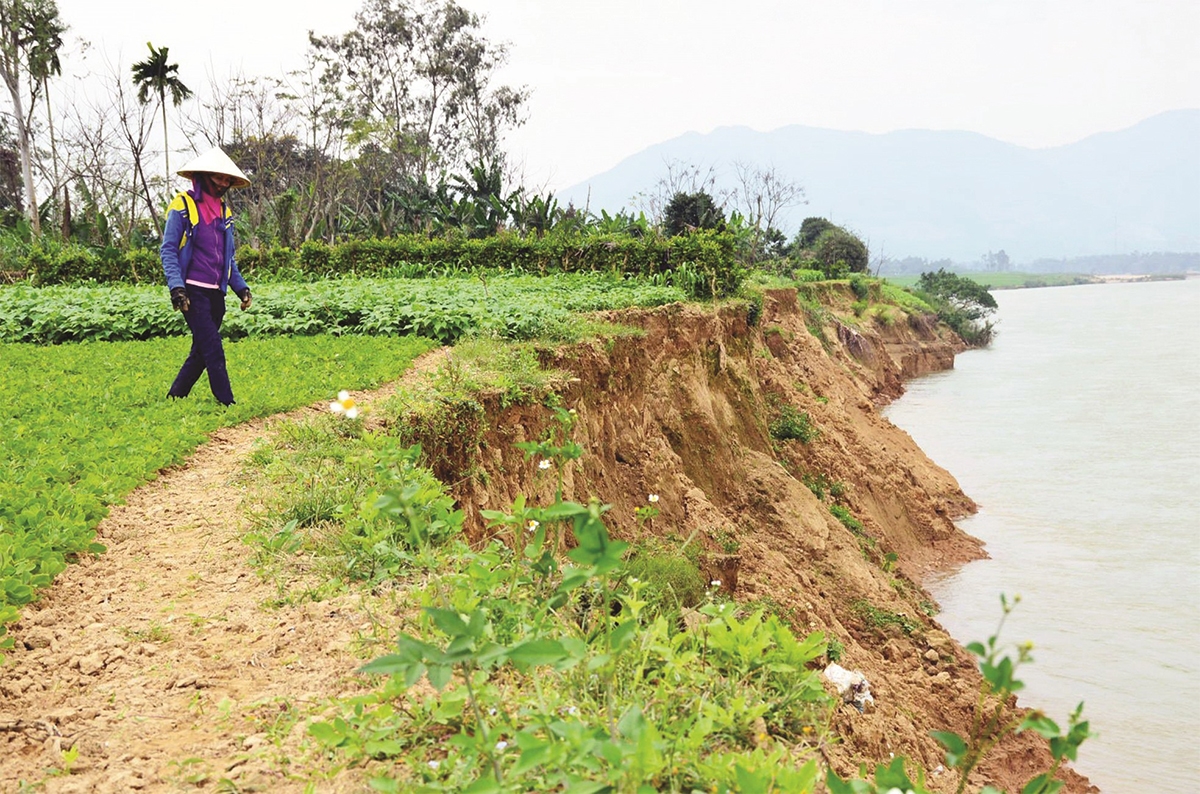 Xói lở ảnh hưởng nặng nề đến đất sản xuất nông nghiệp của nông dân ven sông Vu Gia