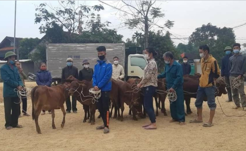 Các hộ nghèo và cận nghèo ở xã Châu Khê huyện Con Cuông nhận bò giống đầu tháng 12/2021