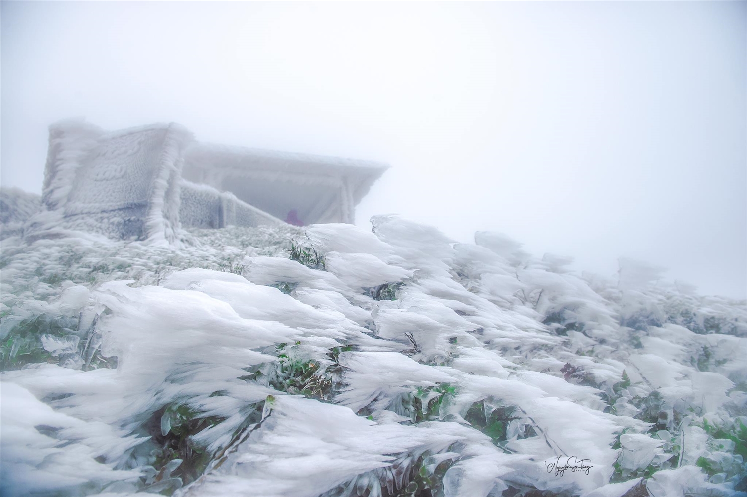 Khi nhiệt độ xuống dưới 0 độ C, trên đỉnh núi Mẫu Sơn tuyết phủ trắng xóa 