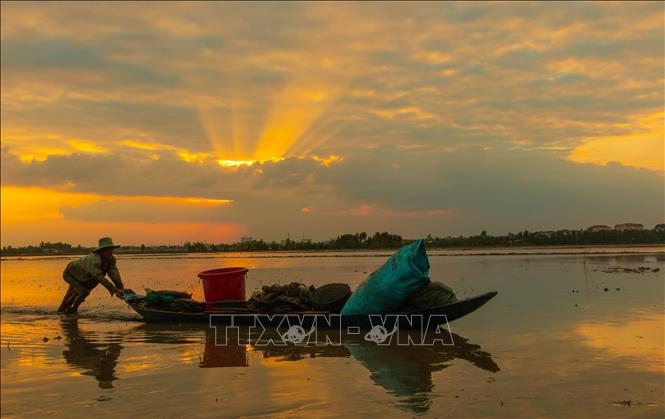 Đánh bắt cá tại cánh đồng ngập lũ cuối mùa ở huyện Vị Thủy, tỉnh Hậu Giang