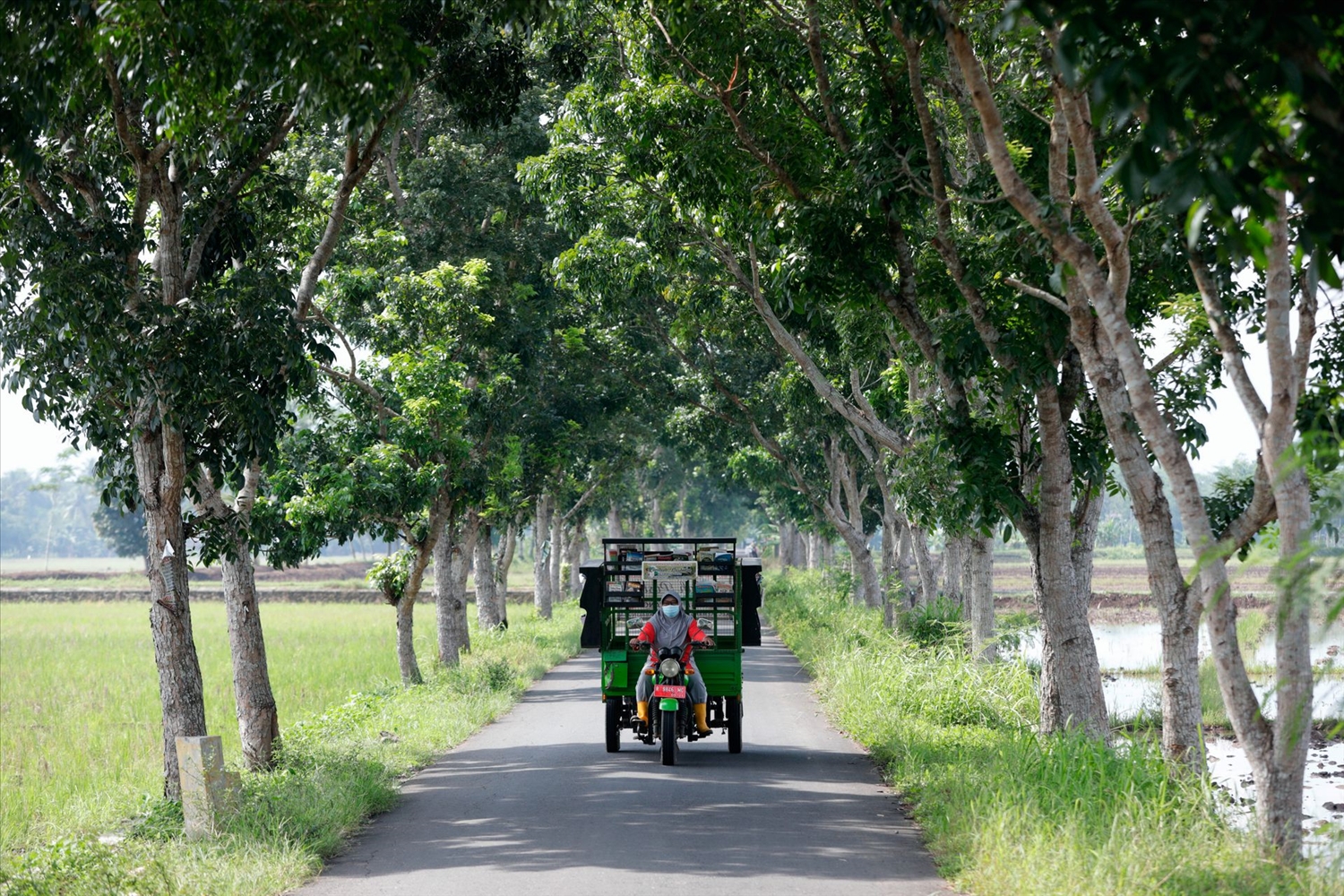 Raden Roro Hendarti lái xe 3 bánh đưa thư viện di động đến các trường học, khu dân cư ở làng Muntang