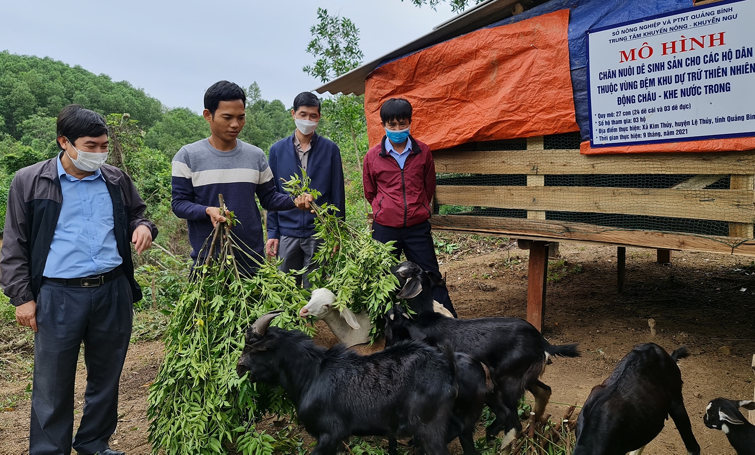Trung tâm Khuyến nông- Khuyến Ngư tỉnh Quảng Bình hỗ trợ mô hình nuôi dê sinh sản người Bru Vân Kiều ở bản An Bai (xã Kim Thủy, huyện Lệ Thúy)