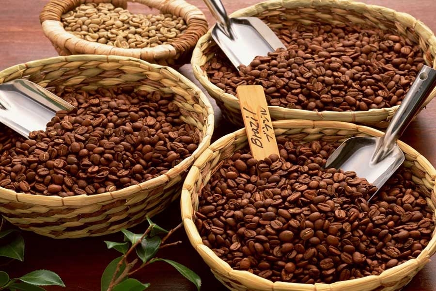 Giá cà phê hôm nay 16/12 tại thị trường trong nước và thế giới tăng mạnh