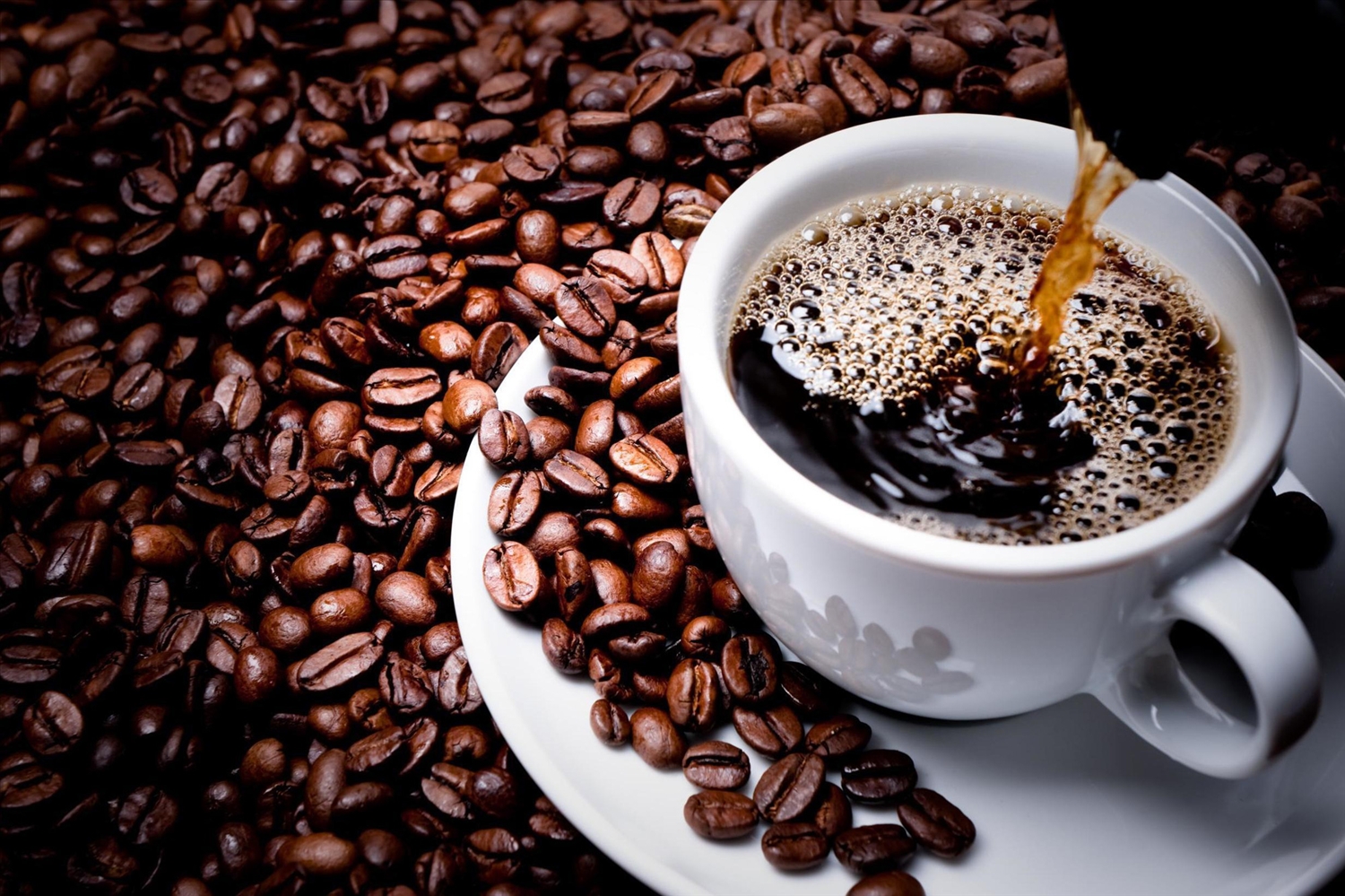 Giá cà phê hôm nay 17/12 tại thị trường trong nước và thế giới đồng loạt giảm