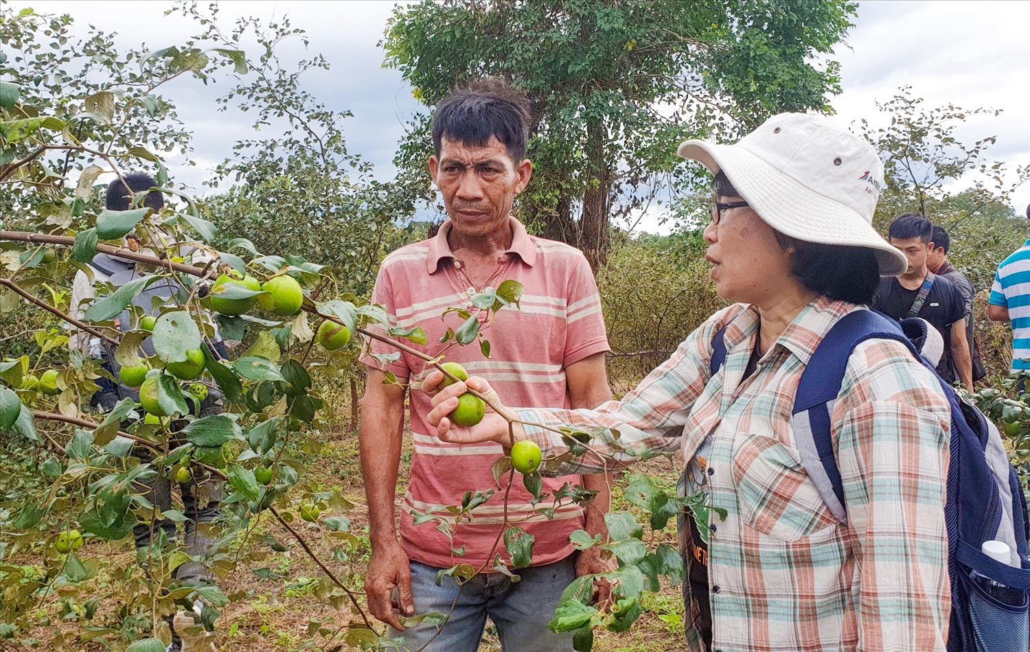 Chị Lý hướng dẫn các hộ dân chăm sóc cây trồng để đem lại hiệu quả kinh tế cao