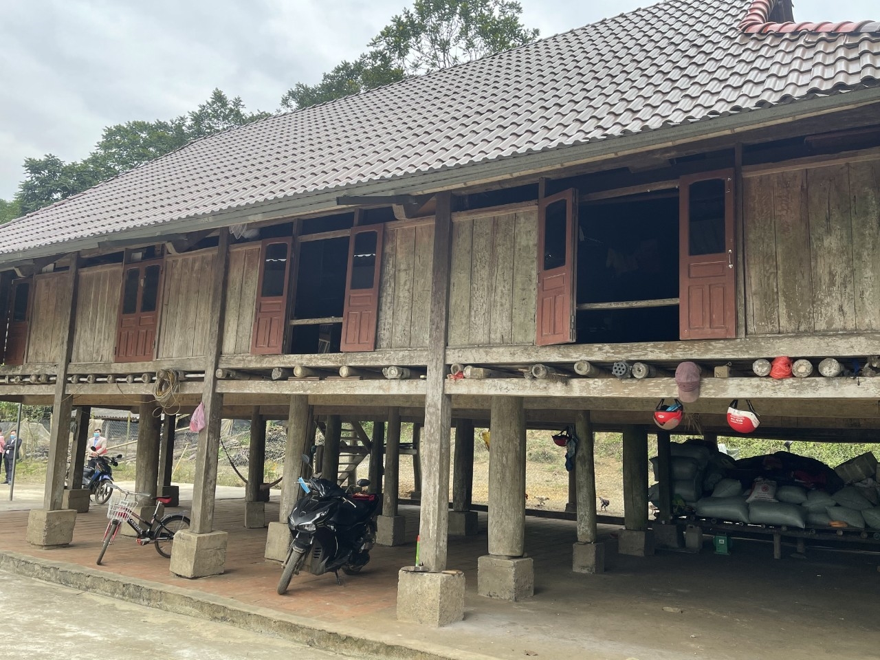 Ngôi nhà sàn của gia đình bà Phạm Thị Sáu (thôn Lập Thắng, xã Thạch Lập, huyện Ngọc Lặc) có tuổi đời gần 100 năm