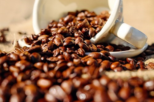 Giá cà phê hôm nay 22/12 trong khoảng 40.500 - 41.300 đồng/kg.