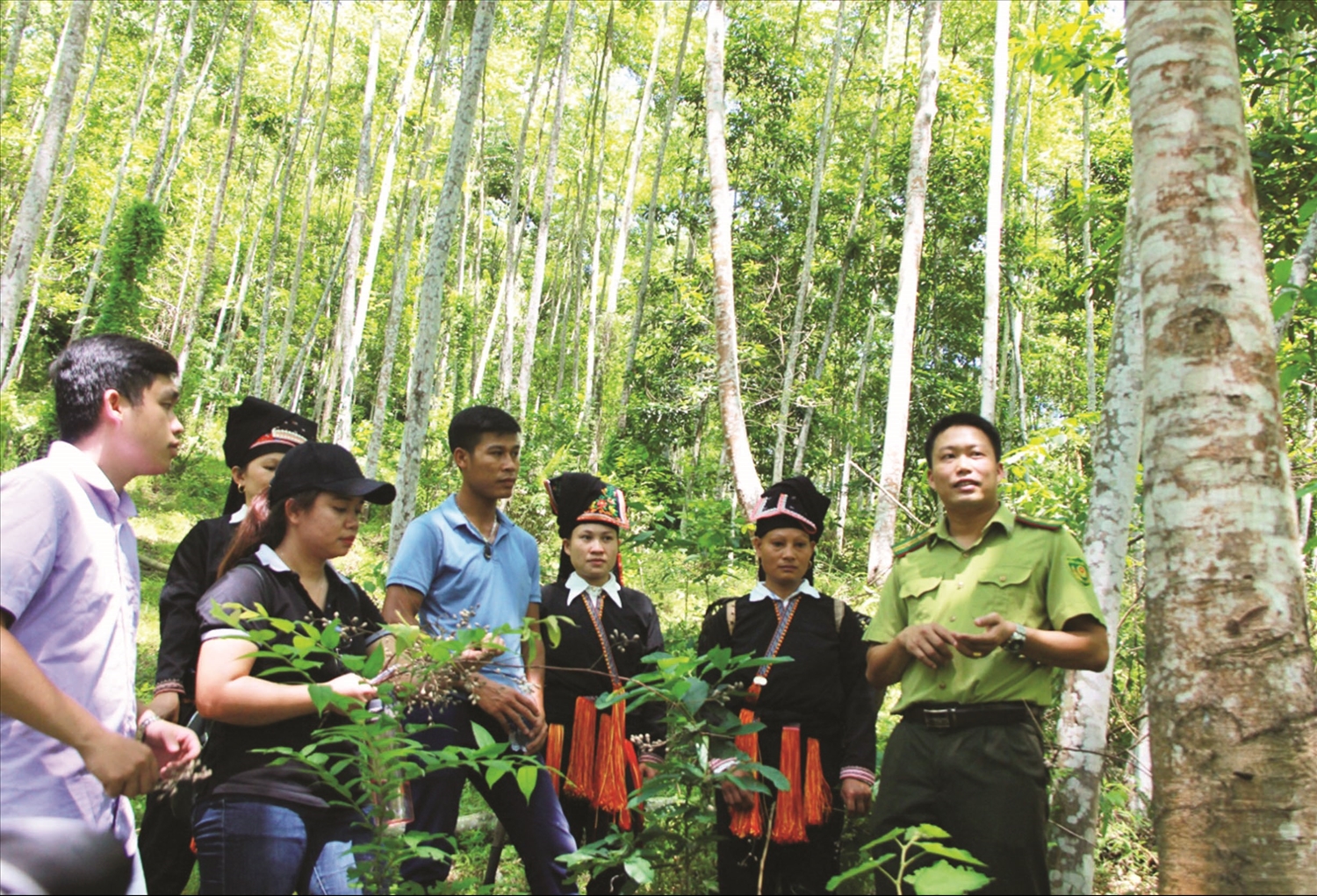 Cần tăng chính sách hỗ trợ chi trả dịch vụ môi trường rừng để thu hút người dân tham gia bảo tồn