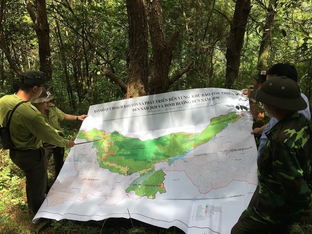 Sơn La đã tiếp nhận gần 13.532 ha từ quỹ đất của 11 công ty NLN nhưng chưa được phê duyệt phương án sử dung; hiện chỉ mới có 4 ban quản lý rừng, 1 ban quản lý khu bảo tồn thiên nhiên Mường La đã được lập hồ sơ ranh giới sử dụng đất, đo đạc lập bản đồ địa chính và cấp giấy chứng nhận quyền sử dụng đất.
