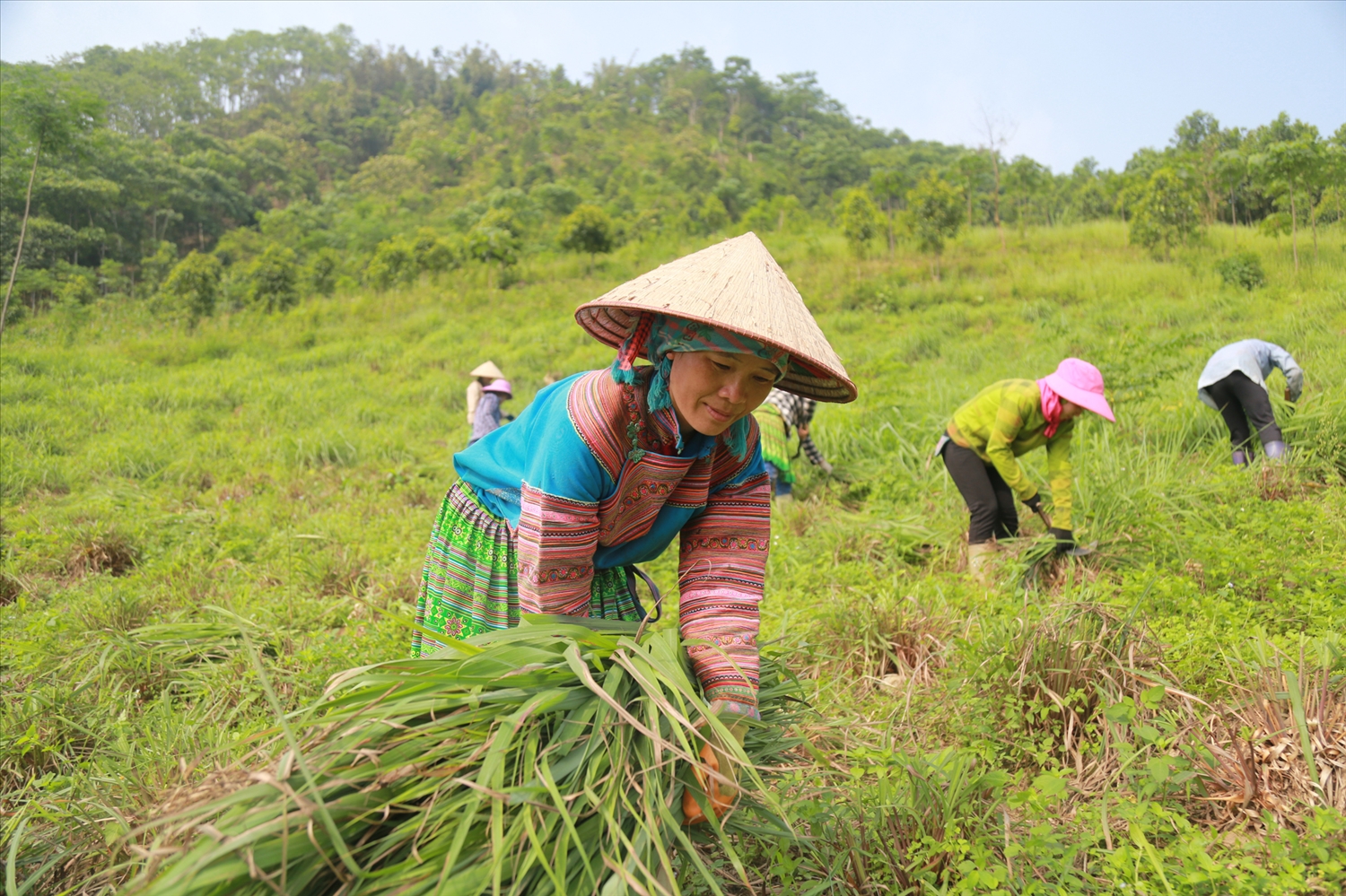 Tỉnh Lào Cai đã và đang có nhiều cách làm sáng tạo, linh hoạt trong công tác giảm nghèo