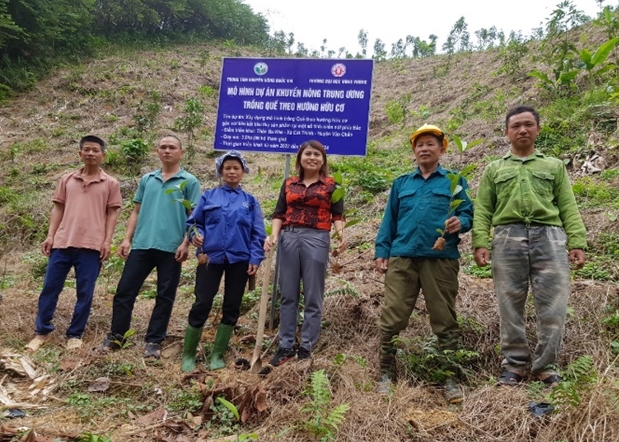 Các học viên được tham quan, thực hành trồng, bón phân thực tế mô hình trồng quế theo hướng hữu cơ xã Cát Thịnh và xã Nậm Lành của huyện Văn Chấn.