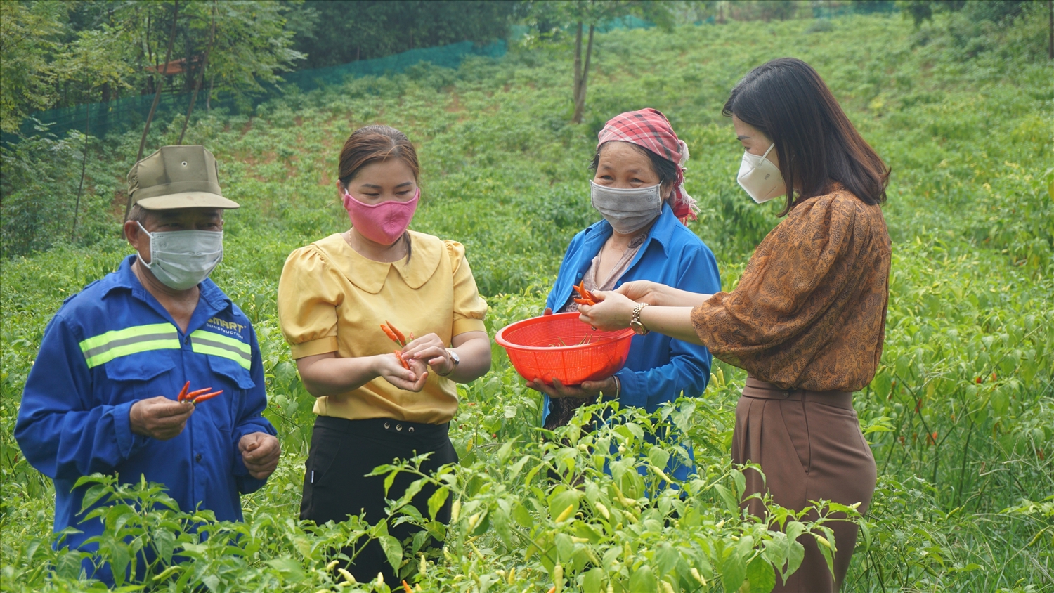 Huyện Văn Bàn tập trung triển khai hiệu quả Chương trình MTQG DTTS và miền núi với mục tiêu nâng cao đời sống cho người dân 
