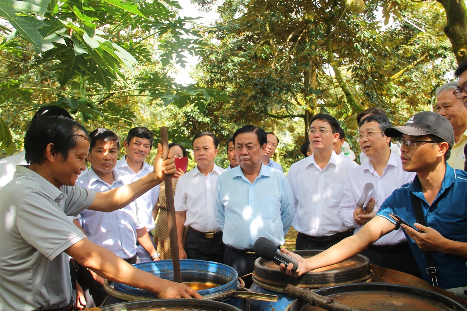 Nông dân huyện Krông Păk tự điều chế thuốc bằng các loại thực vật để phun trừ sâu bệnh cho cây sầu riêng trong vườn