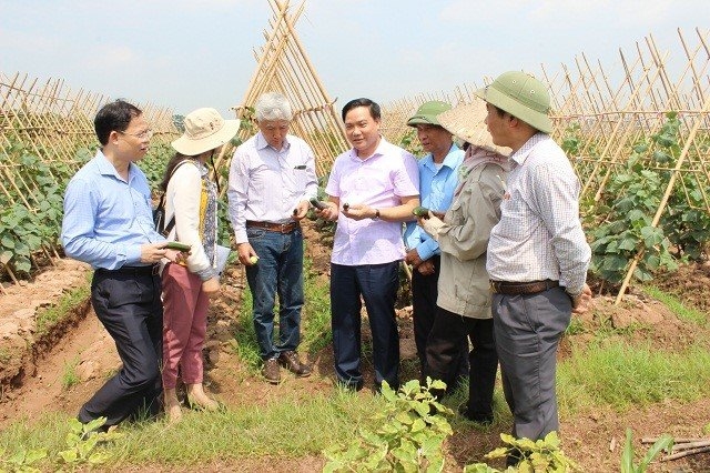 Hoạt động bảo đảm an toàn thực phẩm trên địa bàn tỉnh Bắc Ninh ngày càng hiệu quả.