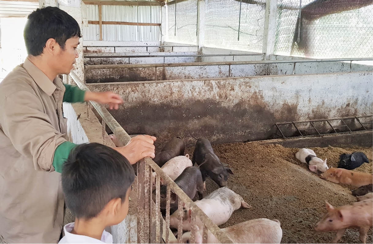 Anh Teo “ Mô hình” bên đàn lợn mới tách mẹ trong trang trại của gia đình mình