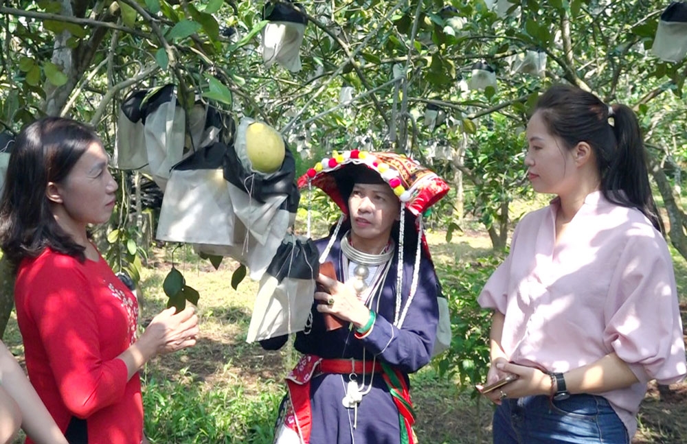 Trải nghiệm vườn cây ăn quả cũng là một trong những trải nghiệm thú vị dành cho du khách