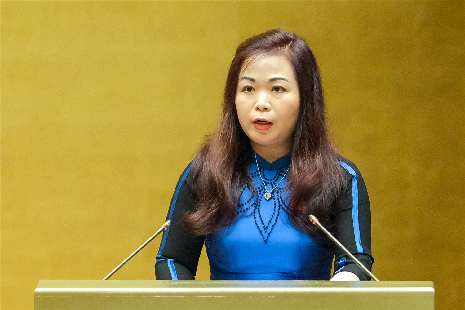 Phó Chủ nhiệm Ủy ban Tài chính - Ngân sách của Quốc hội Vũ Thị Lưu Mai trình bày Báo cáo thẩm tra 