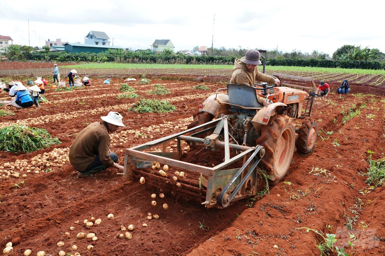 Nguy cơ TNLĐ trong sản xuất nông nghiệp luôn thường trực bởi kiến thức sử dụng, vận hành máy móc nông cụ của người nông dân chủ yếu do “học lỏm”. (Ảnh minh họa)