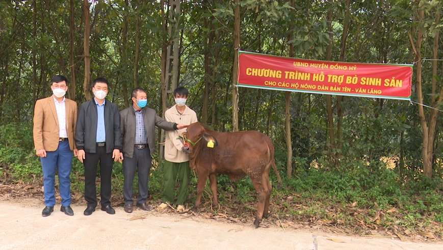 Lãnh đạo huyện Đồng Hỷ trao tặng bò cho hộ dân Bản Tèn