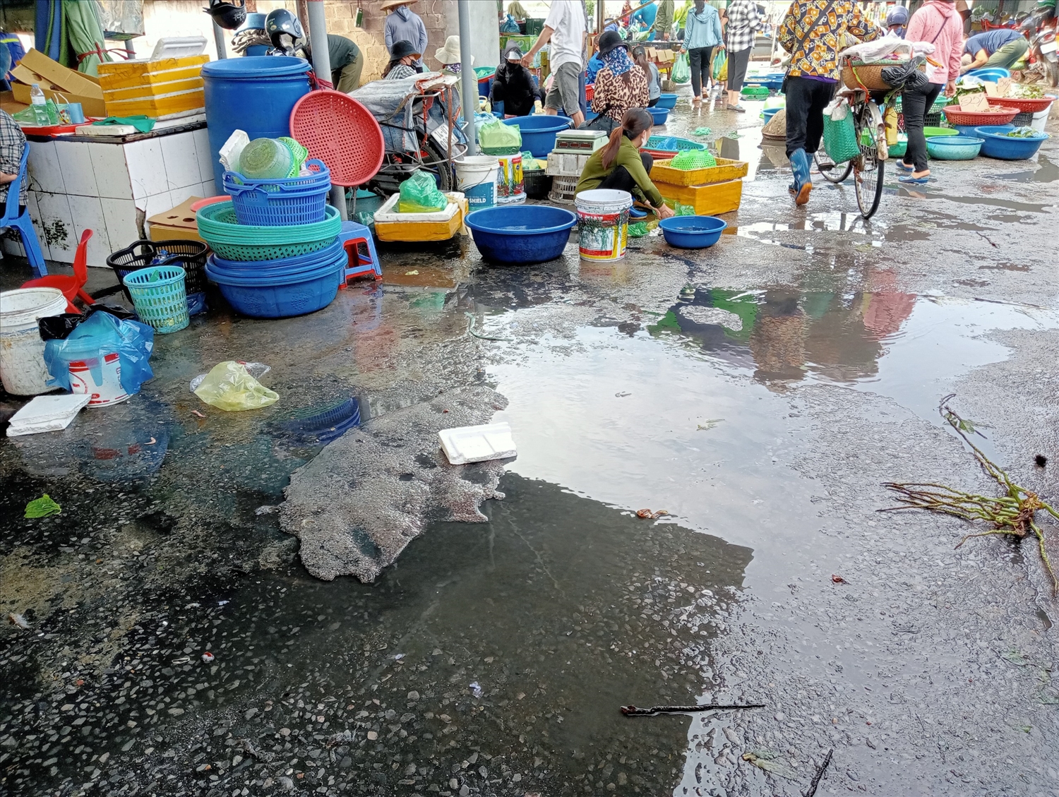 Thành phố Cẩm Phả: Chợ cá Bến Do đang tác động tiêu cực đến môi ...