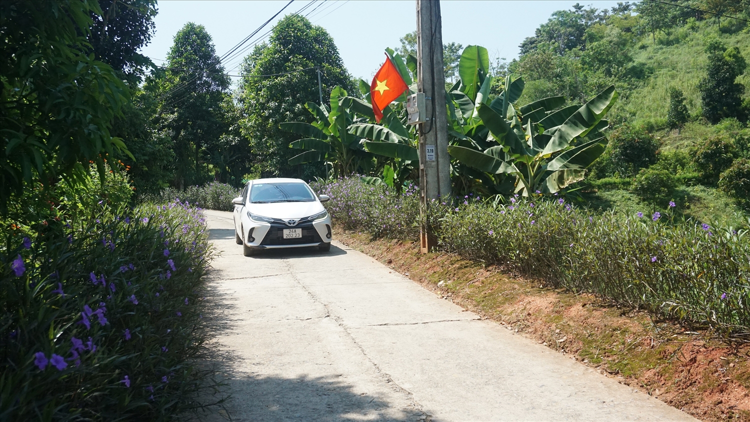 Sau gần 01 năm, toàn huyện Bảo Thắng đã làm được trên 300km đường hoa