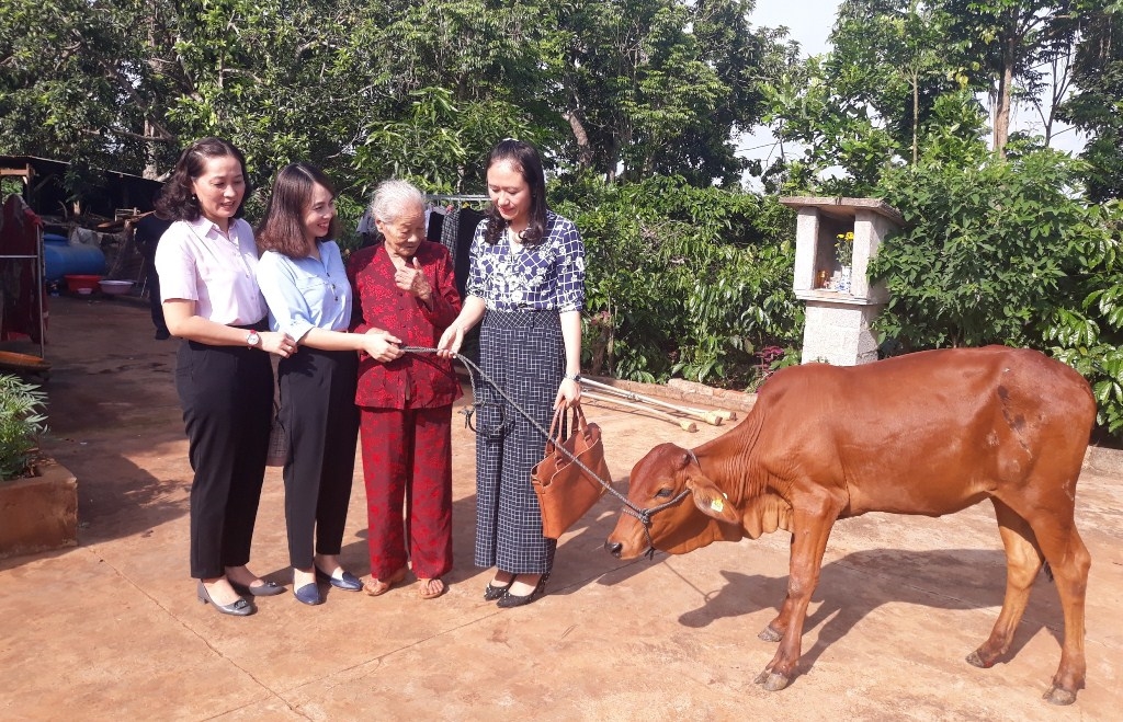 Quỹ “Đền ơn đáp nghĩa” tỉnh Đắk Lắk trao tặng mô hình chăn nuôi bò sinh sản cho bà Hoàng Thị Niềm, người có công giúp đỡ cách mạng, ở xã Ea Knuếc, huyện Krông Păk. (Ảnh: daklak.gov.vn)