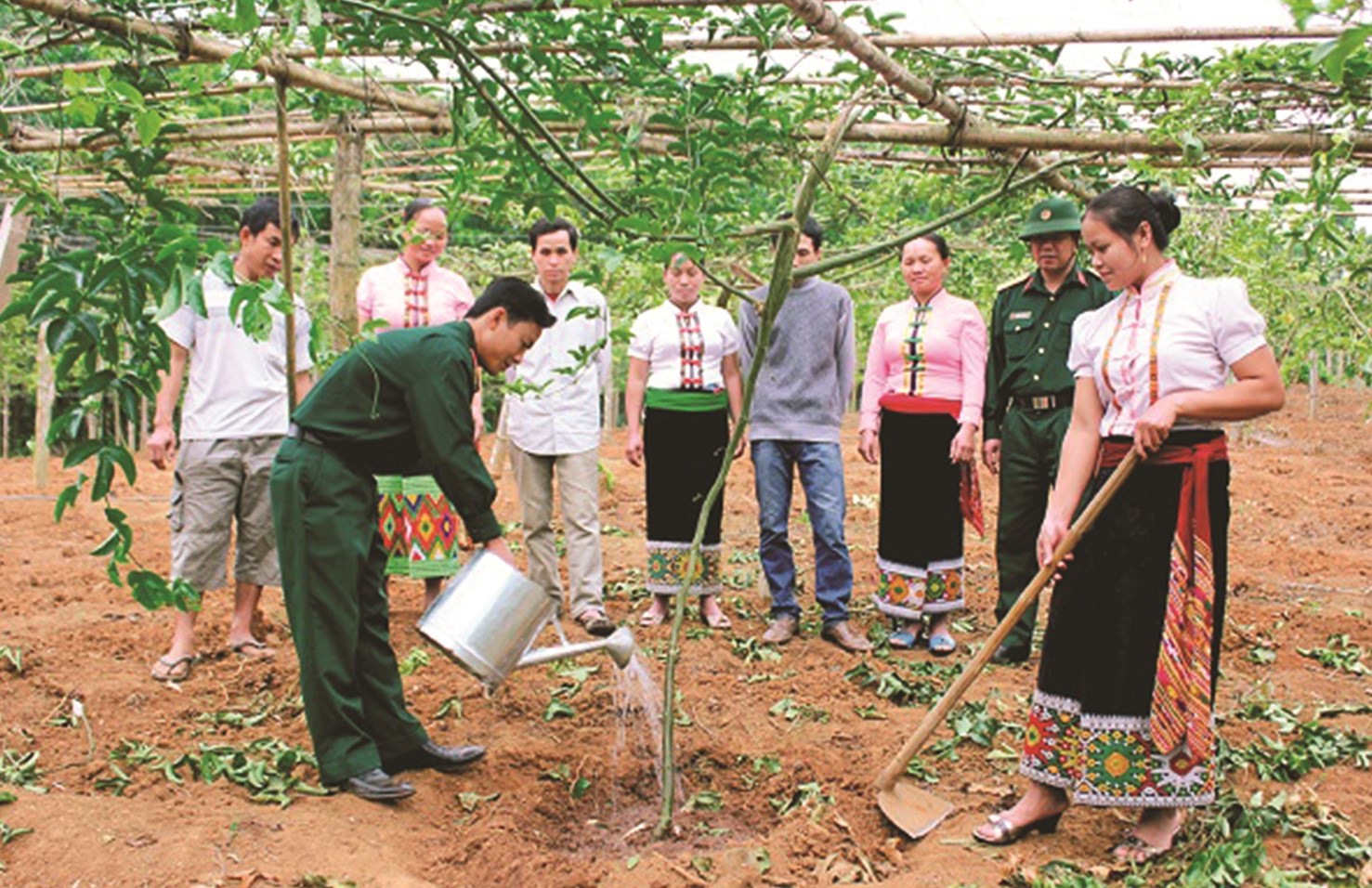 Đồng bào DTTS vùng biên xã Tri Lễ, huyện Quế Phong, tỉnh Nghệ An đổi đời nhờ mô hình cây chanh leo