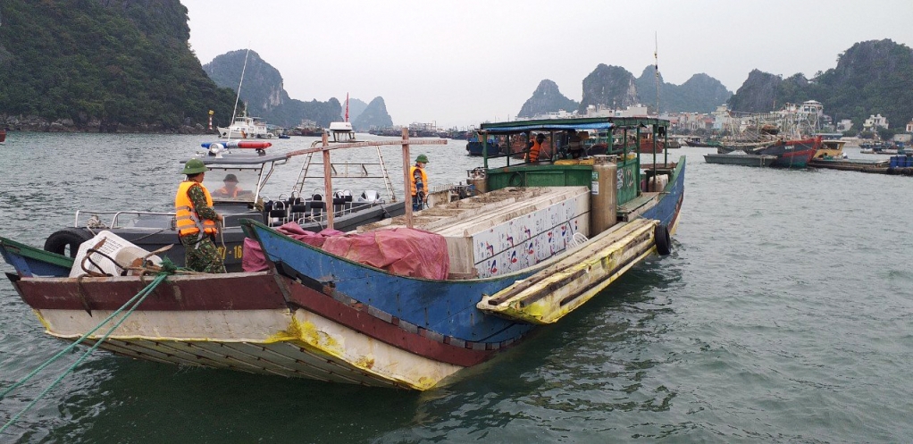 Đồn Biên phòng Quan Lạn bắt giữ bè mảng chở 2.300kg cá tầm không rõ nguồn gốc