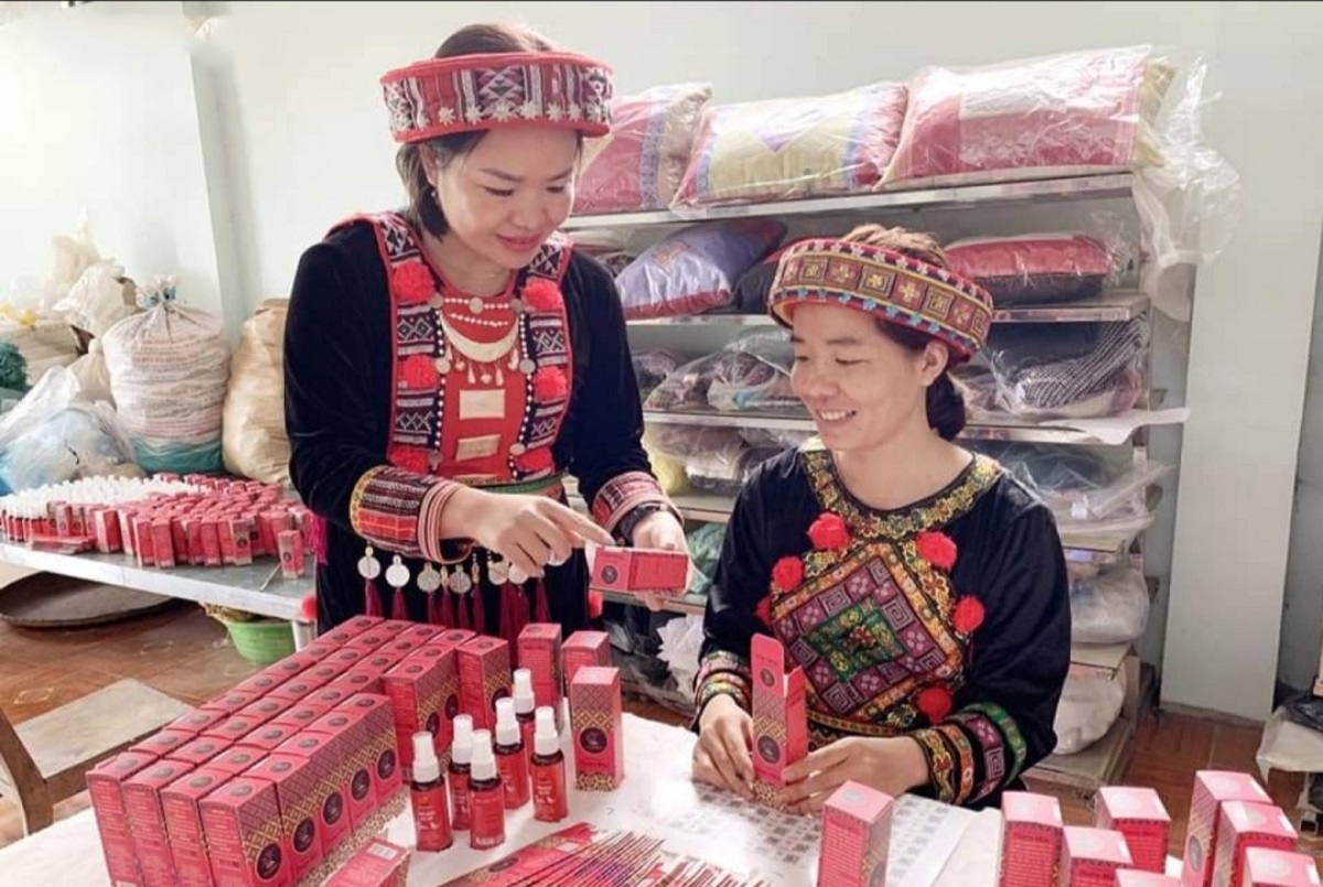 gia tăng sự tham gia của phụ nữ vào quá trình phát triển kinh tế của Việt Nam.