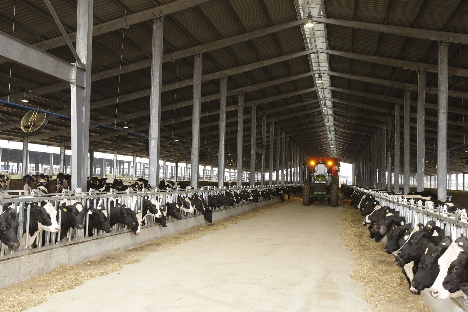 Dự án Chăn nuôi bò sữa và chế biến sữa tập trung quy mô công nghiệp công nghệ cao của TH do bà Thái Hương dẫn dắt có tổng vốn đầu tư 1,2 tỷ USD