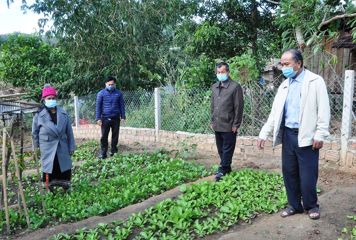 Bà Y Đeo ở thôn 8, xã Đăk Ruồng, huyện Kon Rẫy làm vườn rau sạch cho gia đình