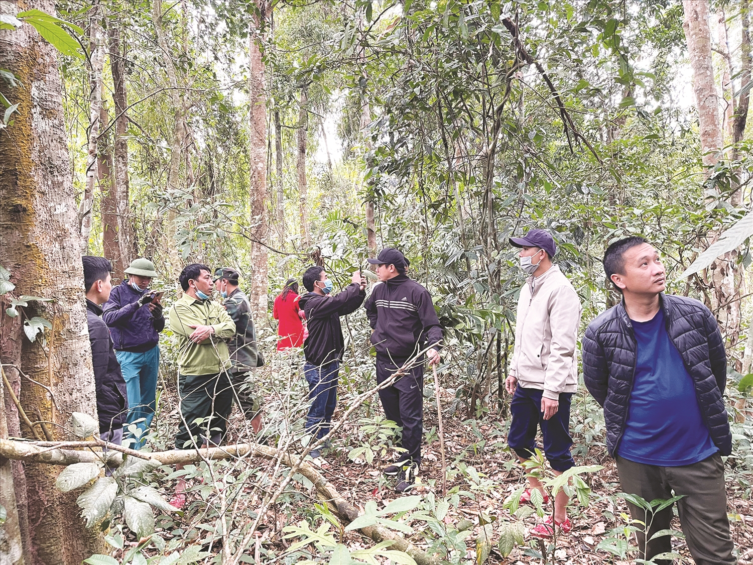 Ban Thường vụ Huyện ủy cùng các cơ quan chức năng kiểm tra thực địa tại xã Sín Thầu để trồng sâm Ngọc Linh.