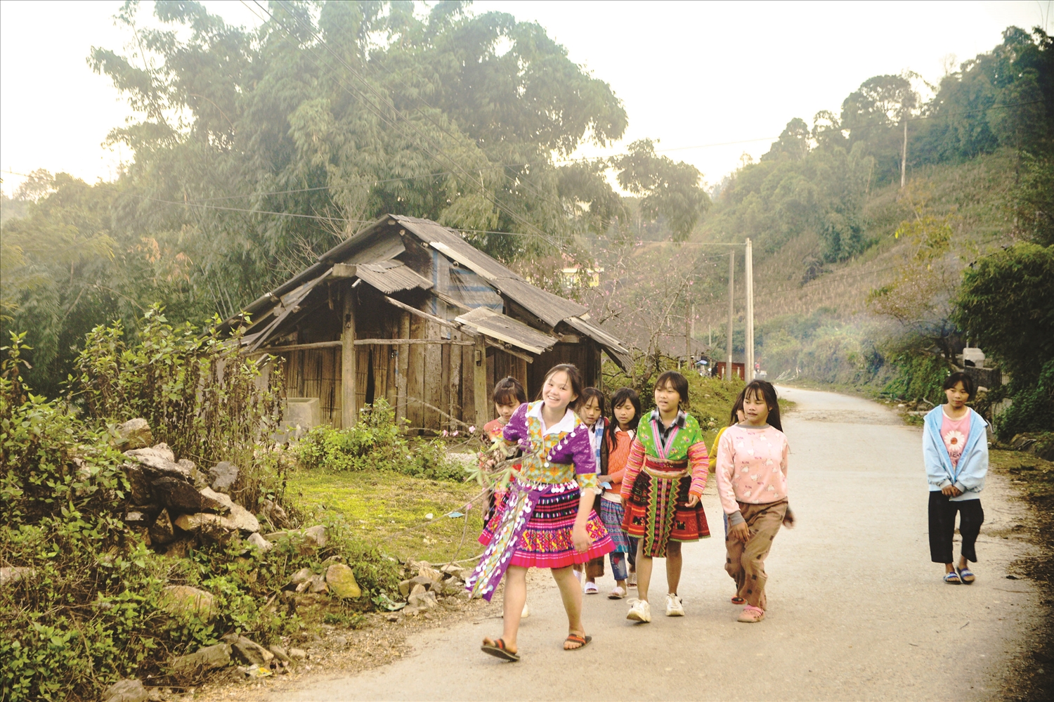 Tết đến Xuân về quà của học sinh xã Làng Mô, huyện Sìn Hồ (Lai Châu) với các thầy cô giáo đơn giản là cành đào rừng mang đầy sắc Xuân. 