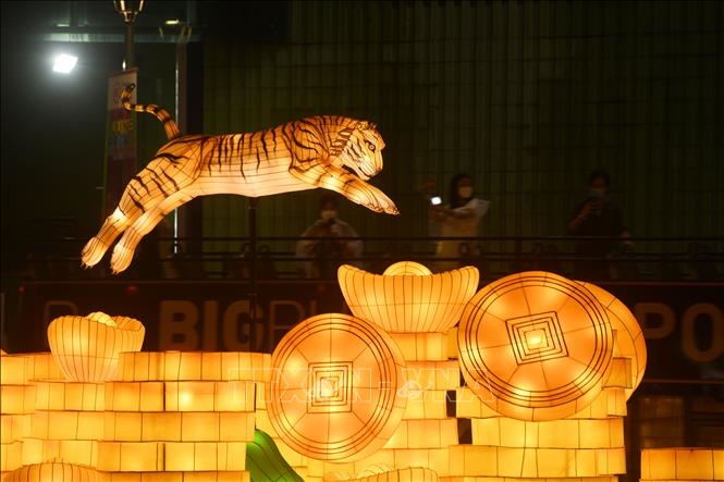 Đèn lồng hình con Hổ biểu tượng cho Năm Nhâm dần trưng bày tại Singapore. Ảnh: THX/TTXVN