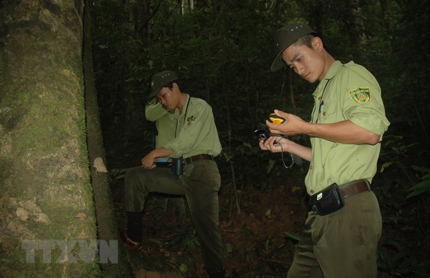 Lực lượng kiểm lâm tuần tra, kiểm soát tại Vườn quốc gia Kon Ka Kinh (một trong hai vùng lõi của khu dự trữ sinh quyển Cao nguyên Kon Hà Nừng). (Ảnh: TTXVN phát)