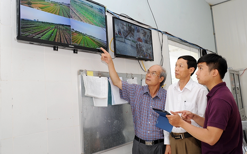 Ứng dụng công nghệ trong việc theo dõi, quản lý minh bạch rau VietGAP tại Hợp tác xã rau quả sạch Chúc Sơn, thành phố Hà Nội. (Ảnh THANH LÂM)