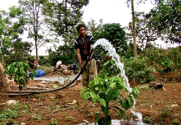 Người dân làng Bui, xóm Mới đã biết sử dụng điện chạy máy bơm nước để tưới cây cà phê