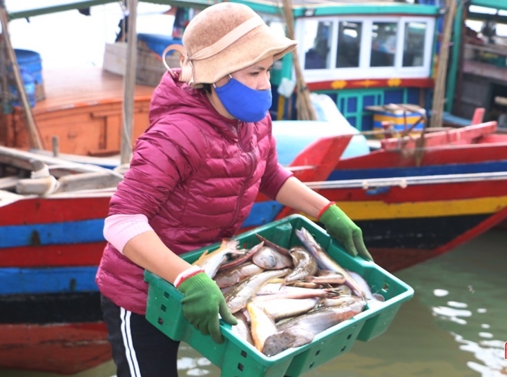 Được mùa lại trúng giá ngày “xông biển” đầu năm tại cảng Cửa Sót làm cho ngư dân Hà Tĩnh rất phấn khởi