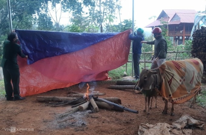 Người dân xã Tri Lễ, huyện Quế Phong, che bạt sưởi ấm cho gia súc. Ảnh: Phương Linh
