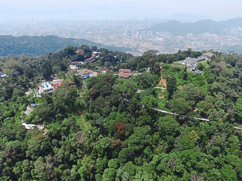 Penang Hill - Khu bảo tồn có rừng nhiệt đới triệu năm tuổi ở Malaysia 2
