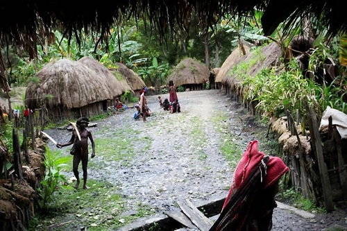 Một ngôi làng của người Dani với những túp lều tròn được gọi là "honai" điển hình