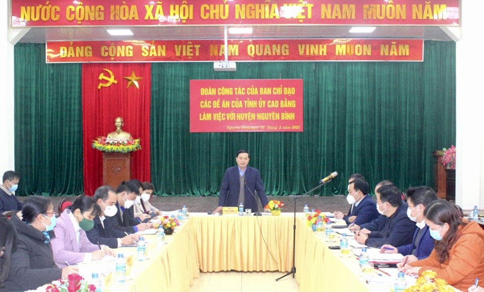 Phó Bí thư Thường trực Tỉnh ủy, Chủ tịch HĐND tỉnh Cao Bằng Triệu Đình Lê phát biểu tại buổi làm việc