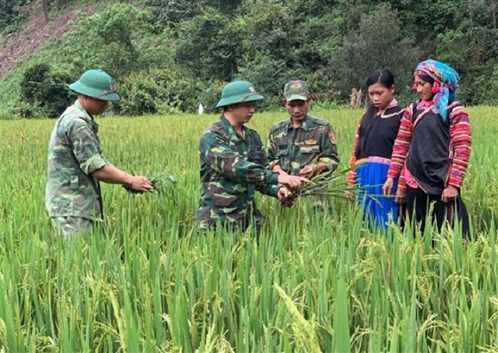 Chiến sĩ Biên phòng Pa Ú giúp bà con La Hủ huyện Mường Tè (Lai Châu) khai hoang trồng lúa rẫy