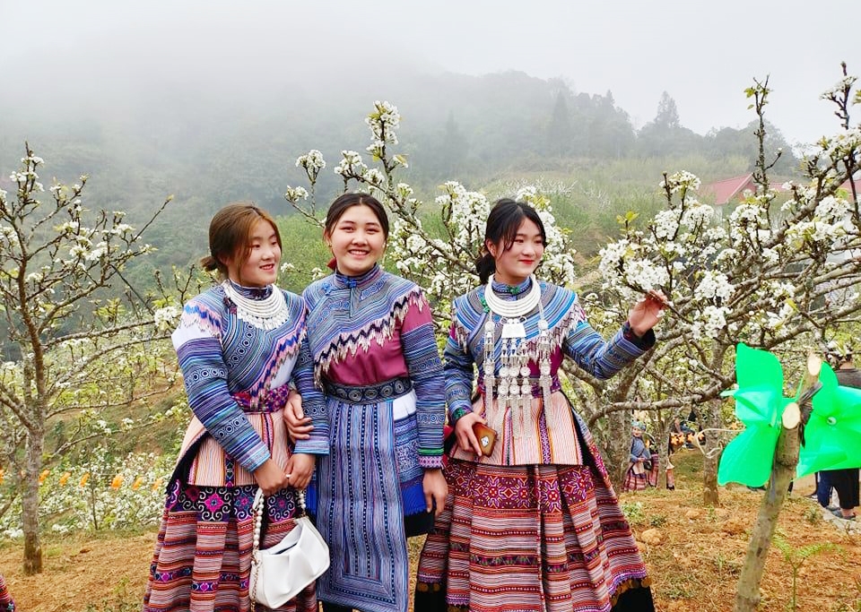 Vẻ đẹp trong sáng của thôn nữ dân tộc Mông bên đồi lê trắng