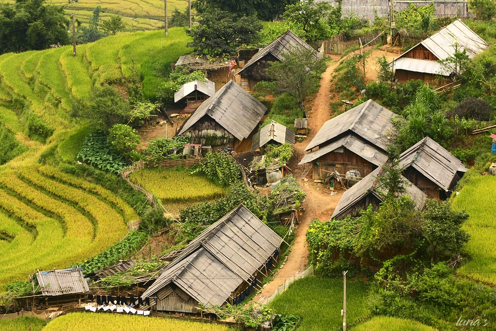 Những bản làng dân tộc ở Sa Pa hoặc Mai Châu, Hoà Bình lại là điểm đến thú vị của du khách Anh