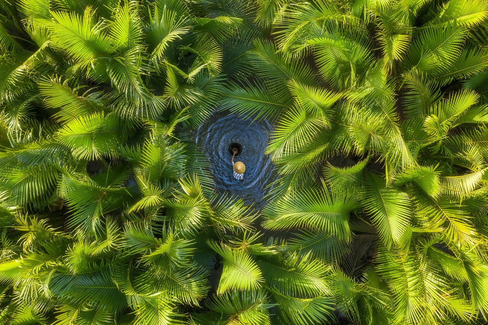 "Trong rừng dừa nước" - Chú Tâm bắt tôm cá trong cái ao (hố bom thời chiến tranh) giữa rừng dừa nước Tịnh Khê, ở đây đươc gọi là lá phổi xanh phía đông của TP Quảng Ngãi - Ảnh: KHÁNH PHAN