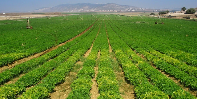 Mạng lưới trực tuyến đã góp một phần lớn vào việc phát triển nông nghiệp của Israel